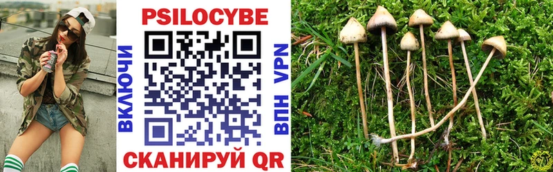 Псилоцибиновые грибы Psilocybine cubensis  Кореновск 